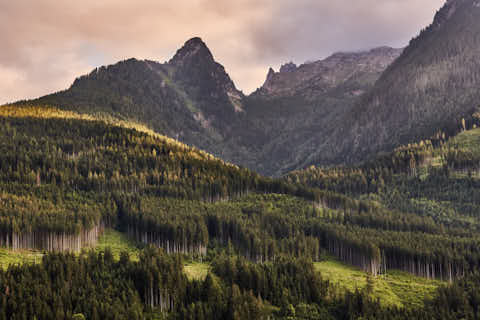 Gemeinde Ramsau Landkreis Berchtesgadener_Land Berge im Licht (Dirschl Johann) Deutschland BGL